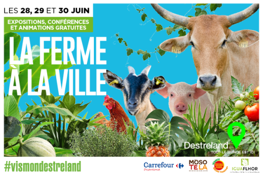 LA FERME À LA VILLE